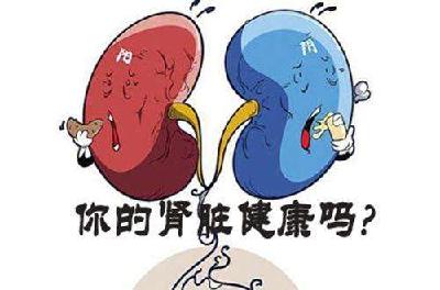 九类人的肾容易出事