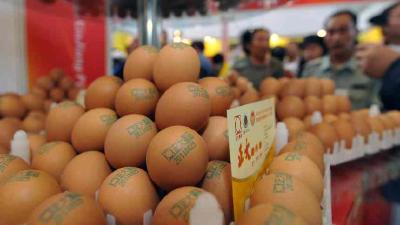 批发市场 鸡蛋、猪肉和蔬菜价格小幅上涨 