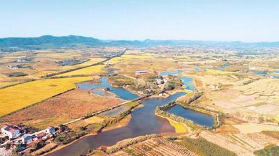 距今约5600年至5300年！湖北荆门屈家岭发现长江中游最早旱作物粟遗存 