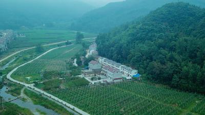 一线报告｜“红土地”结出“幸福果”——湖北谷城南河镇苏区村的脱贫之路