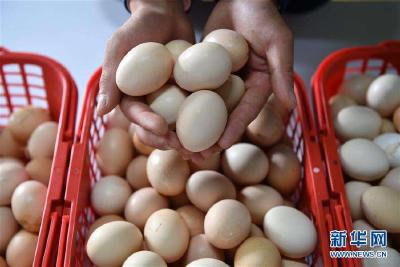 批发市场 肉蛋菜价格小幅上涨