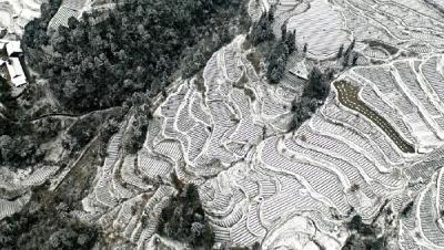 湖北A级旅游景区和文化场馆全面实行分时预约制度 