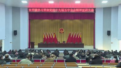 太平镇学习贯彻党的十九届五中全会精神