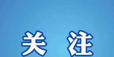 李娜“谣言”被澄清，注意力资源不可肆意浪费