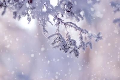 -4℃！雨雪又在路上了？！