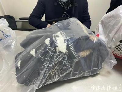 淑宝，谢谢你！