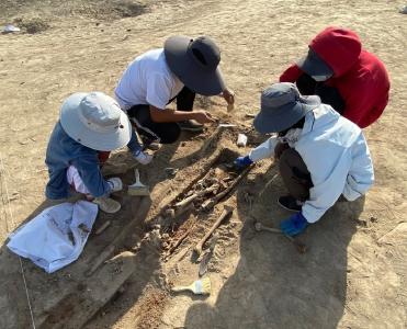 巍巍天山 绵延不绝——2020年唐朝墩古城遗址考古发掘记