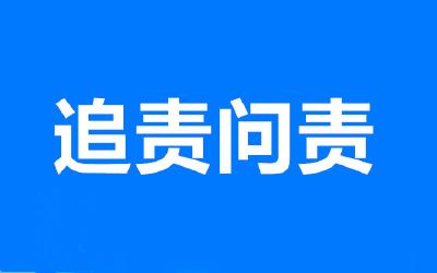 《中央纪委国家监委开展特别重大生产安全责任事故追责问责审查调查工作规定（试行）》印发实施