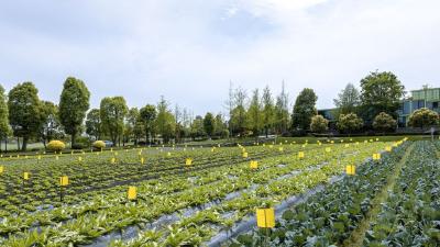 严守18亿亩耕地红线！落实最严格耕地保护制度