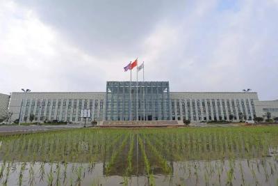 袁隆平团队宣布重磅消息！