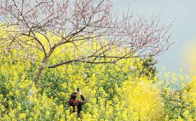 2月3日22时59分“立春”：万物苏萌山水醒 大地阳和暖气生
