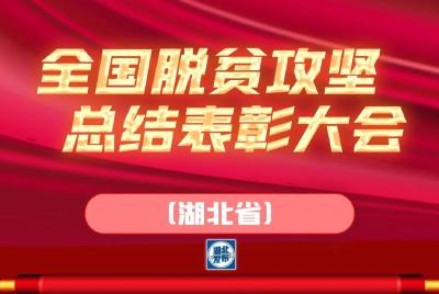 以国之名！湖北这些个人和集体获国家表彰