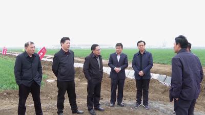 省农业农村厅调研组来枣阳市调研高标准农田建设工作