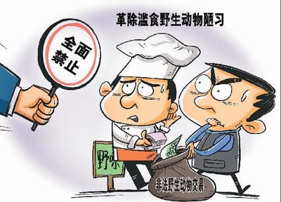 坚决禁止滥食及非法交易野生动物活动