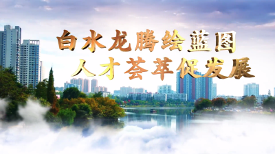 枣阳：“白水龙腾”助人才强市