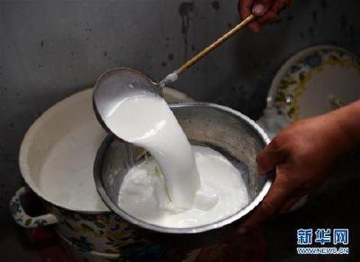 啥样的才是好酸奶 