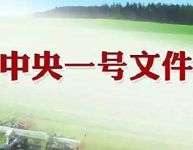 速读2021年中央一号文件 这些内容与你息息相关