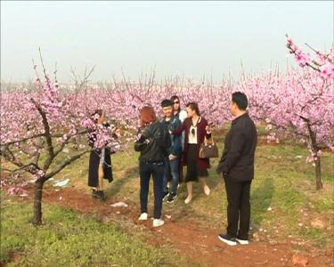 枣阳市新市镇稳步推进美丽乡村建设