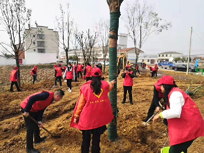 平林镇植树