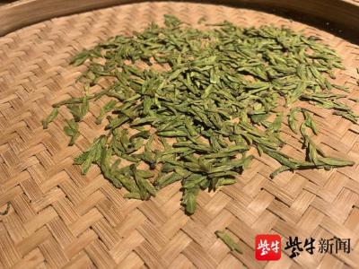 江苏：明前茶上市啦！你品对了吗？