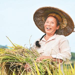 端稳饭碗，保障粮食安全有底气 