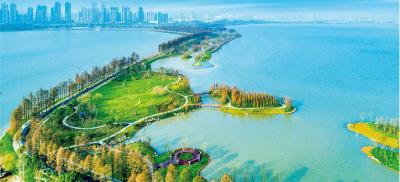 每日鉴赏|武汉环东湖绿道工程