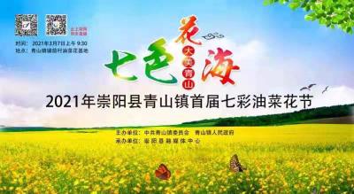 直播 | 2021年崇阳县青山镇首届七彩油菜花节
