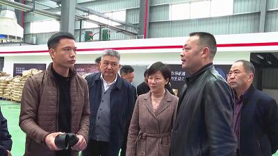 龙小红来我市调研重点产业项目建设进展情况