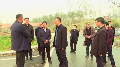襄阳市美丽乡村精品线路调研组来我市王城镇调研