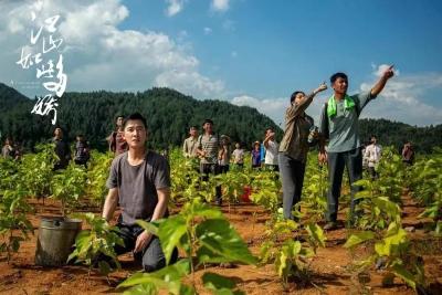 那剧那茶那人，看《江山如此多娇》怎样定义幸福！