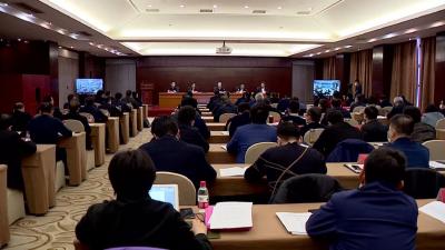 全省春季农业生产暨新一轮高标准农田建设现场推进会枣阳市举行
