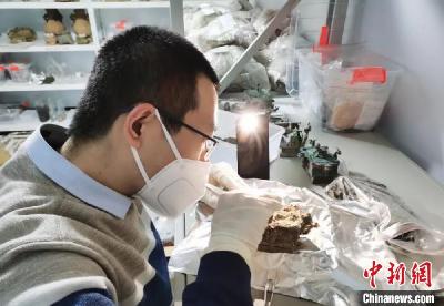 两千年前就爱美白？山西北白鹅墓地检出美白化妆品遗存