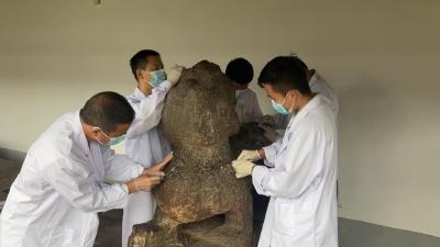 河南焦作：在指尖惊艳历史 领略文物“复活”之旅