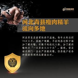 负责人已被控制！农业农村部派工作组督查“瘦肉精羊肉”问题