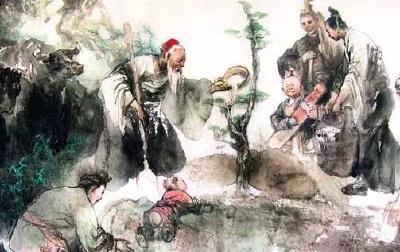 每日一读｜跟着古人去种树