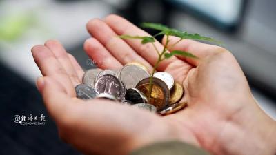 知名险企被举报财务造假，经济日报：虚列费用顽疾，得治！
