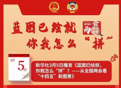 蓝图已绘就，你我怎么“拼”？——从全国两会看“十四五”新图景