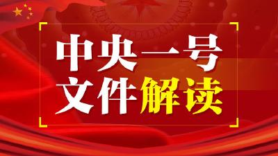 2021年中央一号文件解读