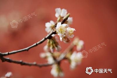 新一轮降水今日上线 中东部气温波动回升多地或创新高