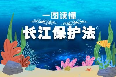 特别的法只为守护特别的“你”！
