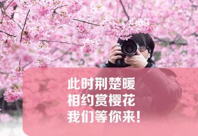 @援鄂医疗队 此时荆楚暖 樱花等你来