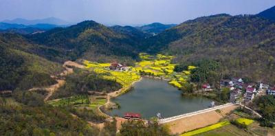 安徽枞阳：绿水青山成为脱贫“靠山”