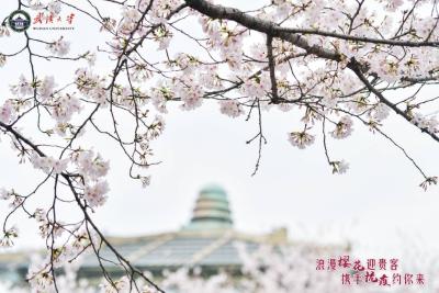 换下战衣，穿上花衣 ，原来你这么美！