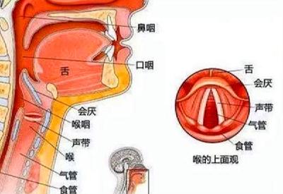 总觉得喉咙里有东西 五大原因需警惕