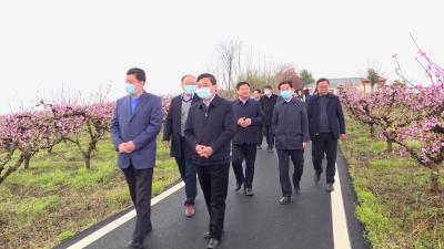 农发行湖北省分行在枣阳市召开美丽乡村建设现场推进会