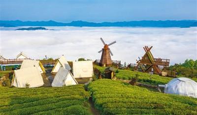 茶旅融合 美丽乡村