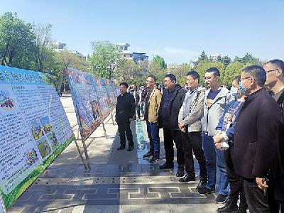 市残联开展4.15国家安全教育日主题活动