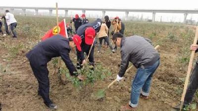 千人植树共建美好家园