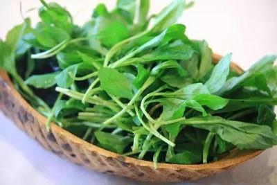 食用野菜正当季，消保委这份消费提示请牢记！