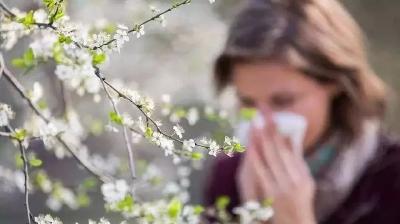 花粉带来春天烦恼 专家教你防护妙招